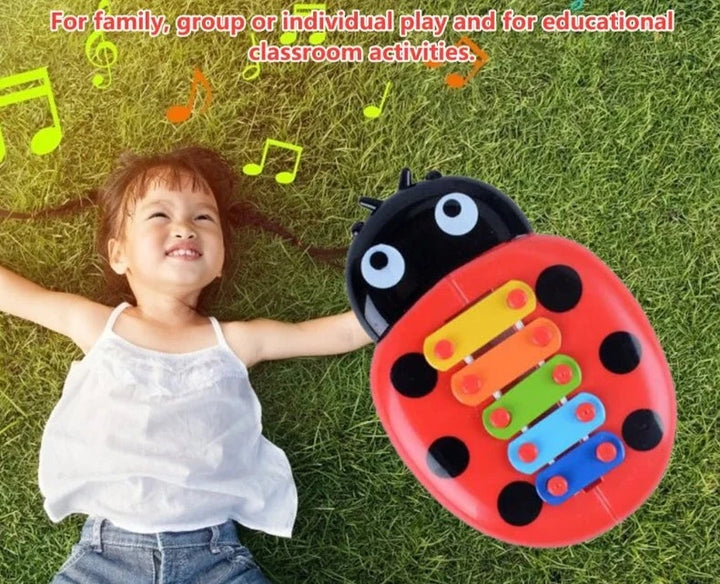 Mini Ladybug Xylophone